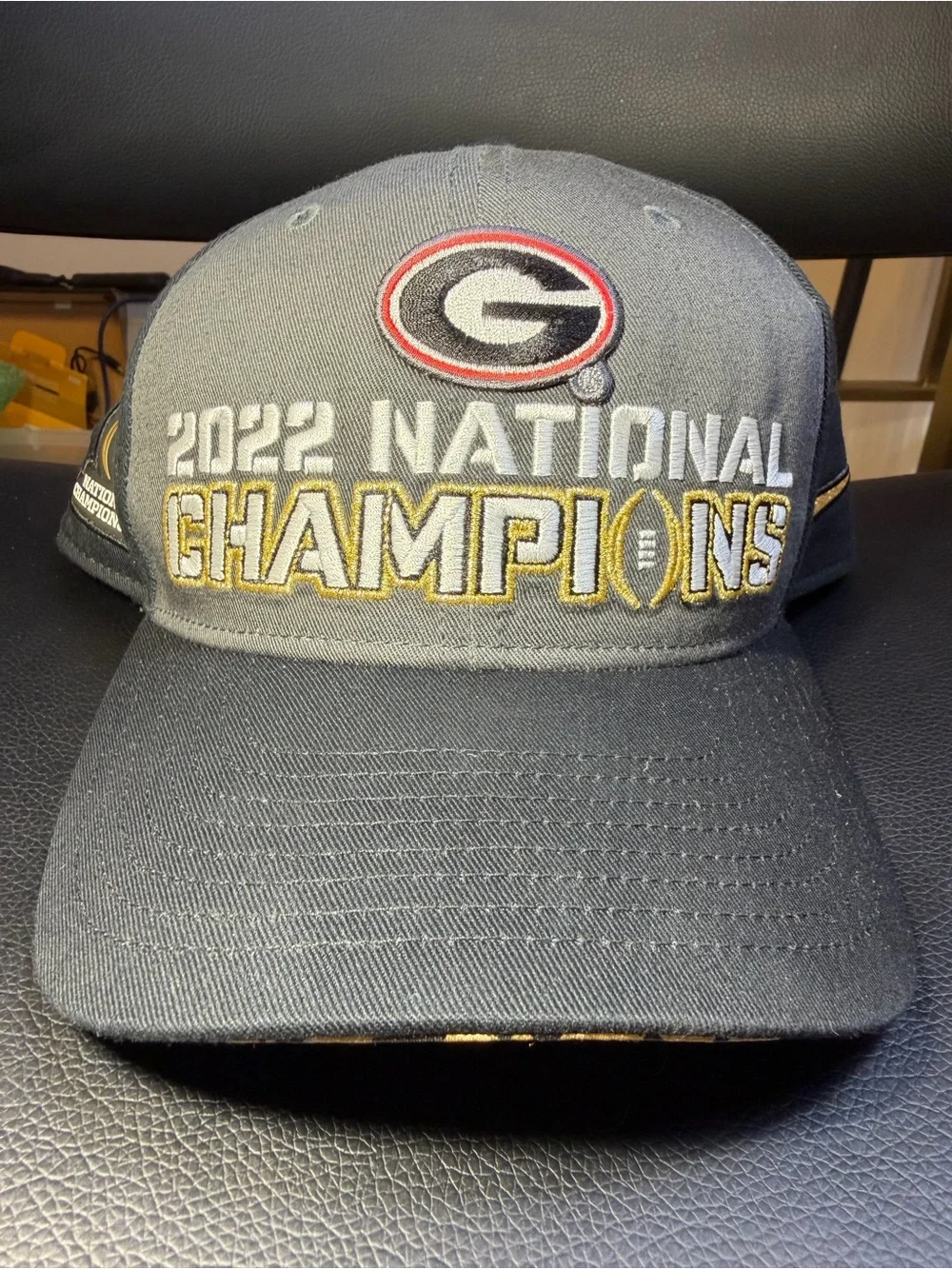 Nike Georgia 2022 National Champions Gray Embroidered Cap
